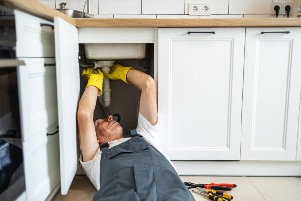 Best Septic Systems  in Camp Hill, AL
